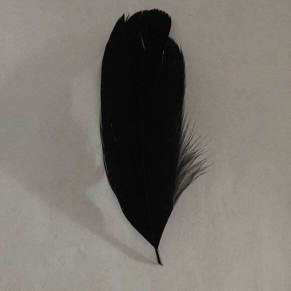 BRUNO CAPELO REAL SIDE FEATHERS FOR FEDORA HATS. UNISEX. - Picture 1 of 2